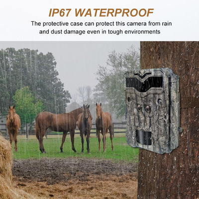 Охотничьи камеры с двойным объективом