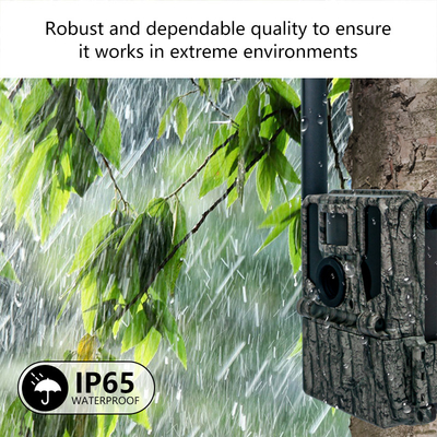 Keepguard 4G сотовые камеры лесных троп с дистанционным управлением APP 36MP 2K / 30fps Дикая игра