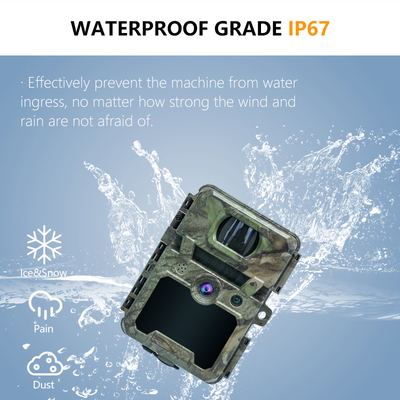 KW571 Factory OEM ODM Mini Wildlife Scouting Timelapse Trail Camera IP67 С сенсором CMOS без свечения и памятью SD Ночное видение