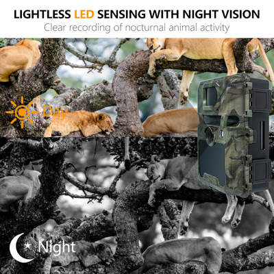 KW571 Factory OEM ODM Mini Wildlife Scouting Timelapse Trail Camera IP67 С сенсором CMOS без свечения и памятью SD Ночное видение