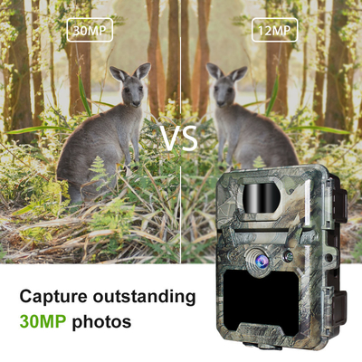 KW571 Factory OEM ODM Mini Wildlife Scouting Timelapse Trail Camera IP67 С сенсором CMOS без свечения и памятью SD Ночное видение