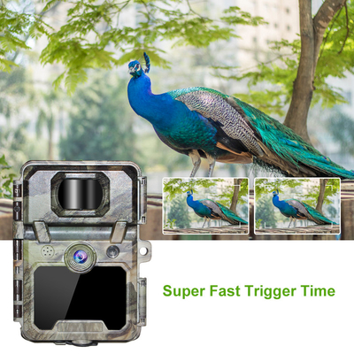 KW571 Factory OEM ODM Mini Wildlife Scouting Timelapse Trail Camera IP67 С сенсором CMOS без свечения и памятью SD Ночное видение