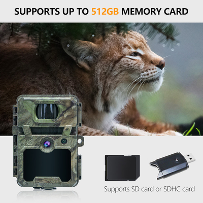 KW571 Factory ODM Mini Wildlife Scouting Timelapse Trail Camera IP67 С сенсором CMOS без свечения и SD M