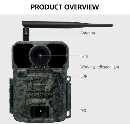 32MP 4G Trail Camera с быстрым 0.2s Trigger Time и режимами фото/видео/фото-видео для универсальных