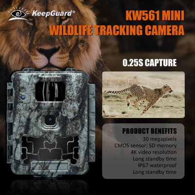 KW561 Trail Infra Cam Mini 30MP 0.25s Скорость 4K видео разрешение водонепроницаемый датчик CMOS SD Me