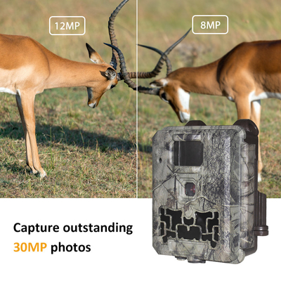 Trail Camera KW561 30MP 0.25s триггер Скорость 4K Видео разрешение водонепроницаемая IP67 до 512GB хранилища скоунтинговая камера