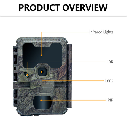 Камера WIFI KW866 водонепроницаемая IP67 OEM/ODM до 512 ГБ Хранилище SD Карта памяти 32MP 4K камера дикой природы