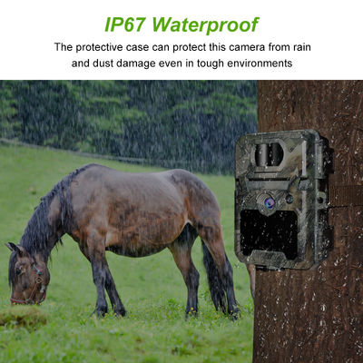 IP67 охотничьи камеры без свечения с поддержкой микрообъектива 450 мм и охотничьими камерами с интервалом 1s-60m HD