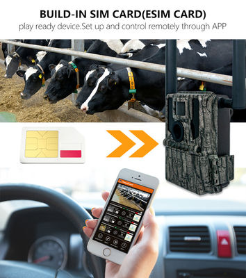 Охотничьи и следовые камеры Солнечная панель 4G Беспроводная камера KW897 с двойной антенной 100 футов Ночная дальность 36MP 2K видео на 30fps