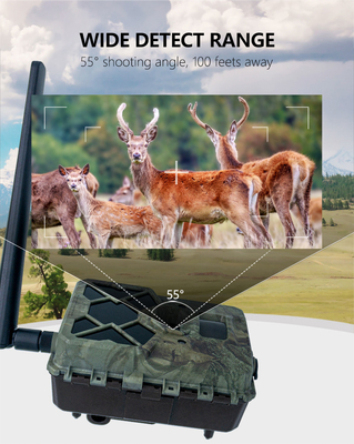 Эффективная по цене Новейшая пробная камера 4G KW886 с антенной 24MP 0.1s триггер встроен в SIM-карту для охоты на оленей