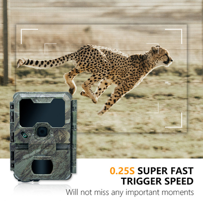 Охотная камера KW788 водонепроницаемая IP65 4K видео с 30fps 32MP 0.25s скорость запуска до 512GB хранилища для исследования дикой природы
