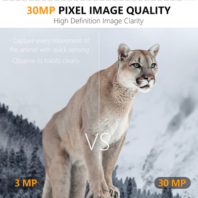 Камера 4G KW895 с APP 2K FHD Video изображение 30MP водонепроницаемое IP67 до 512GB для исследования дикой природы