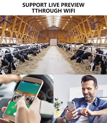 Камера KW866 с подключением к WIFI 0.25s скорость запуска водонепроницаемая IP67 до 512GB Хранение 32MP 4K при 30fps для снимка