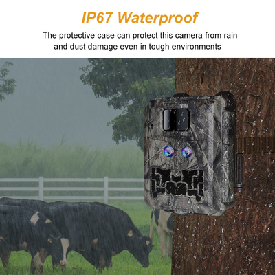 Скрытая камера с двойным объективом KW591 водонепроницаемая IP67 30MP 1080P 0.4s Скорость запуска ночного зрения до 512 ГБ для исследования дикой природы