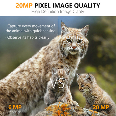 Камера для охоты на тропы 20MP 1080P Камера для дикой природы водонепроницаемая IP67 Игровая камера до 512 ГБ Хранилище до 82 футов