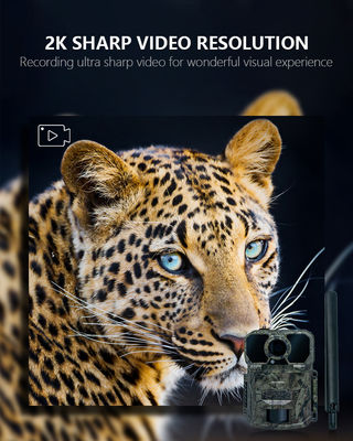 IP65 водонепроницаемая камера 4G