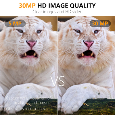 30MP 1080P мини-камера Keepguard KW561 IP67 Конкурентоспособная цена ИК-свет без свечения Камеры дикой природы