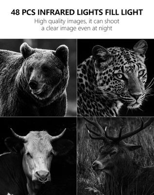 Оцените непревзойденную производительность с 4G фотоловушкой - идеальным решением для мониторинга дикой природы