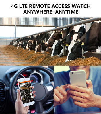 Оцените непревзойденную производительность с 4G фотоловушкой - идеальным решением для мониторинга дикой природы