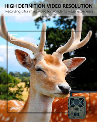 Оцените непревзойденную производительность с 4G фотоловушкой - идеальным решением для мониторинга дикой природы