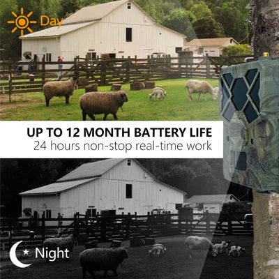 Оцените непревзойденную производительность с 4G фотоловушкой - идеальным решением для мониторинга дикой природы