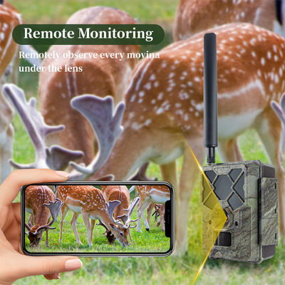 Удаленно управляемая охотничья камера 4G KW886 с возможностью видео 1080p и ночной дальностью 120 футов