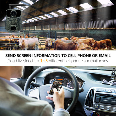 940nm привело охотиться камера Hd 30MP 180mA следа Programmable