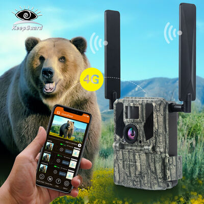 Камера 4G Trail с возможностью дистанционного просмотра и прочным корпусом, предназначенная для захвата детальных изображений в отдаленных местах