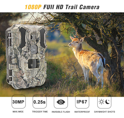 Ультракрасная камера 30MP 1080P IP66 звероловства живой природы СИД