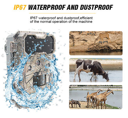 Камера для дикой природы с активацией движения