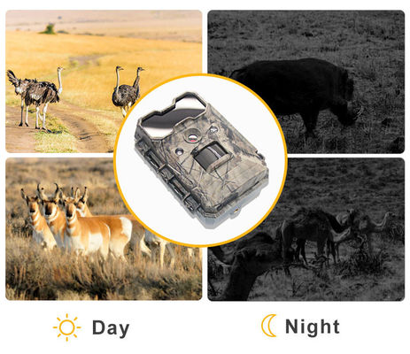 Камера для дикой природы с активацией движения