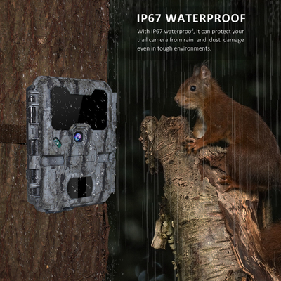 KW865 WIFI Скрытая камера для наружной беспроводной охотничьей камеры Trail Camera, которая отправляет фотографии на ваш телефон