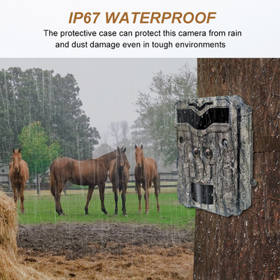 Новая KW698A 4K Trail Camera Dual Sensors IP67 No Glow AA Alkaine Batteries Wildlife Outdoor Hunting Camera