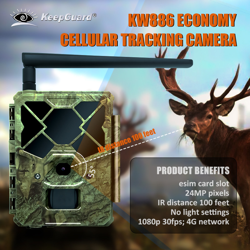 KW886 трейл камера встроена в 4G сим-карту 24MP 1080P при 30fps водонепроницаемая IP67 игровая камера с APP-контролем