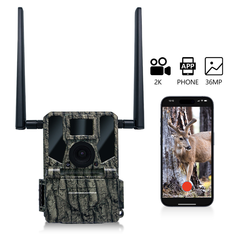 4G сотовая беспроводная охотничья камера KW897 встроена в SIM-карту 36MP захват 2K видео с 30fps с двойными антеннами для дикой природы